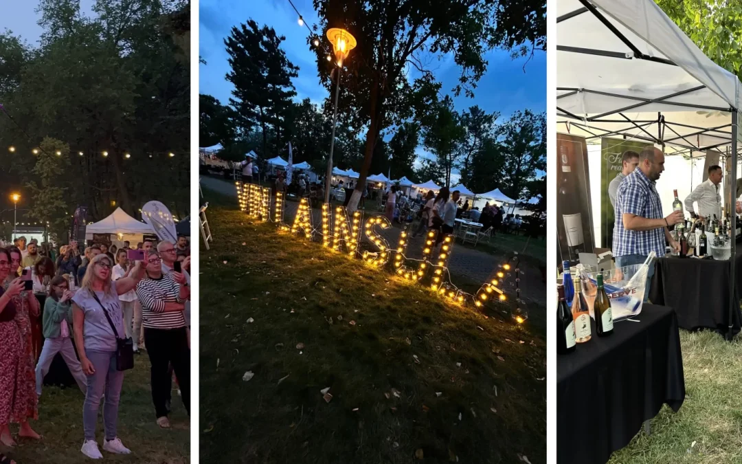 Festivalul de vinuri